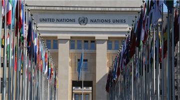 مقام ویژه مشورتی سازمان ملل متحد به بنیاد بین المللی مستشهدین عاشورا اعطا شد.